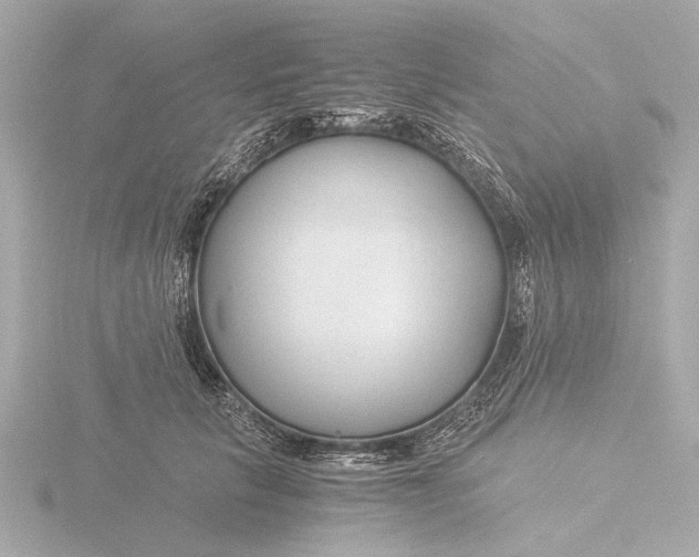 X0000116390657200912231110