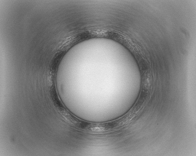 X0000116390658200912231110