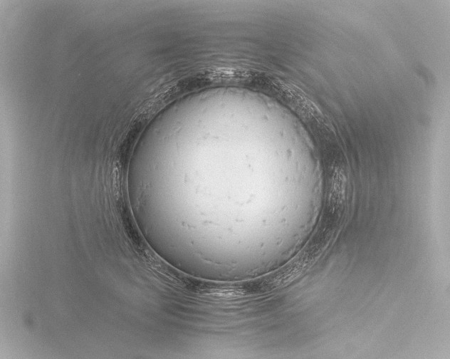 X0000116390659200912231110