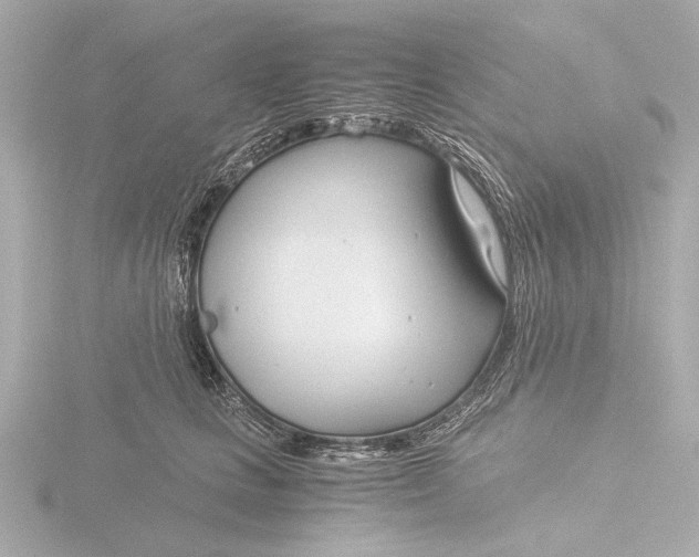 X0000116390661200912231110