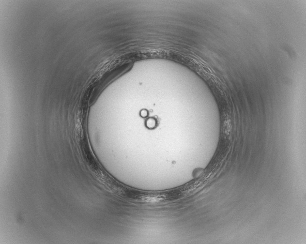 X0000116390662200912231110