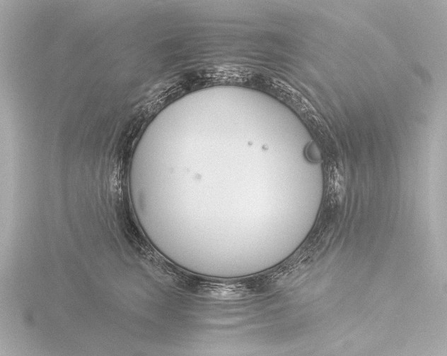 X0000116390663200912231110