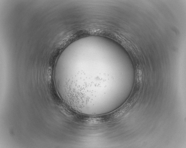 X0000116390664200912231110