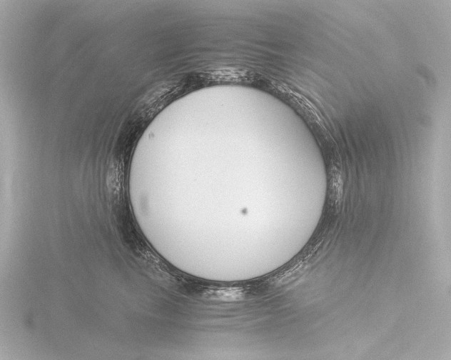 X0000116390665200912231110