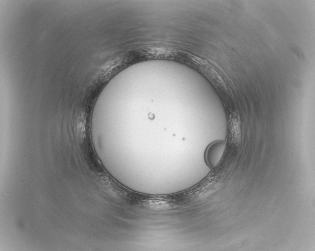 X0000116390668200912231110