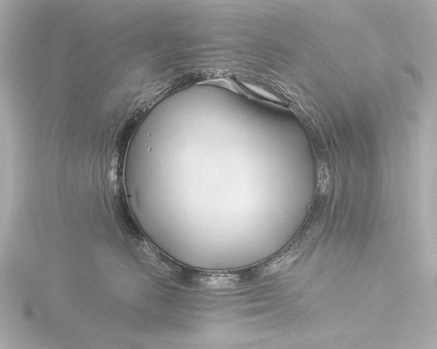 X0000116390670200912231110