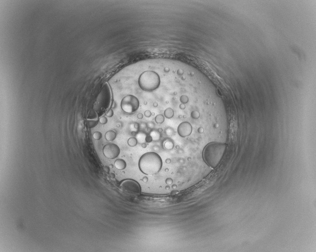 X0000116390671200912231110