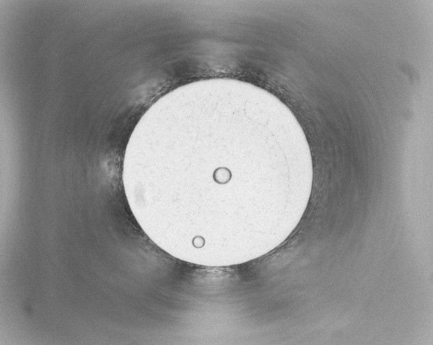 X0000116390672200912231110