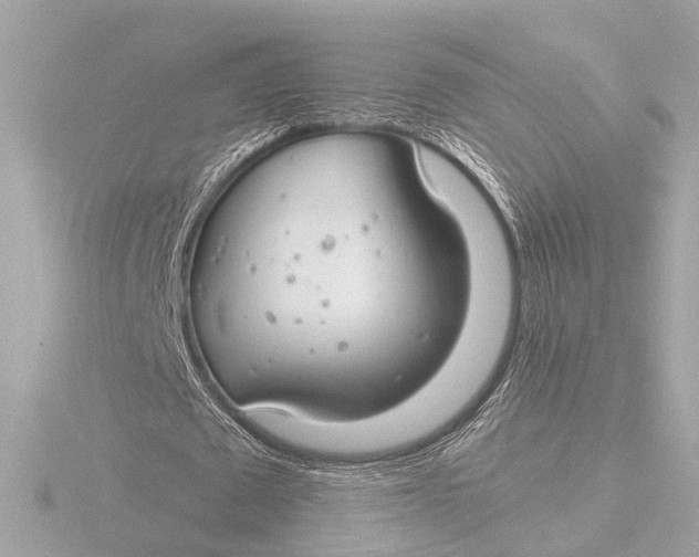 X0000116390673200912231110