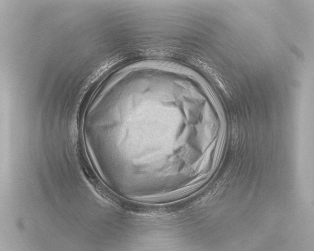 X0000116390674200912231110