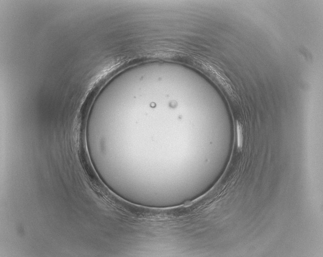 X0000116390675200912231110