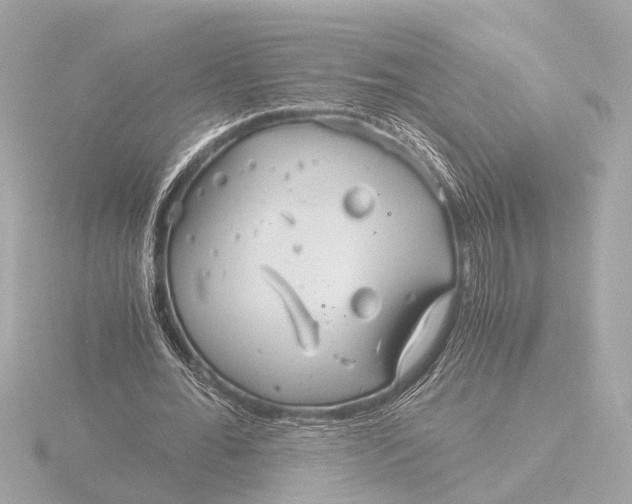 X0000116390676200912231110