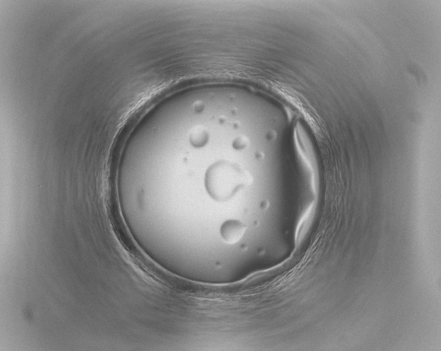 X0000116390677200912231110