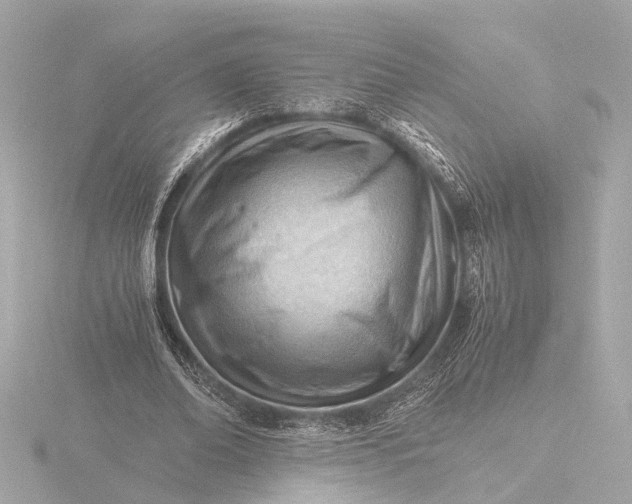 X0000116390678200912231110