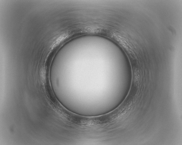 X0000116390679200912231110