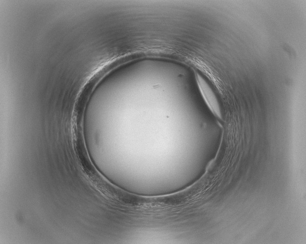 X0000116390680200912231110