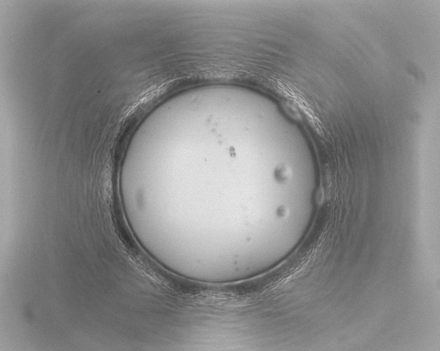 X0000116390681200912231110