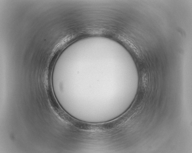 X0000116390682200912231110