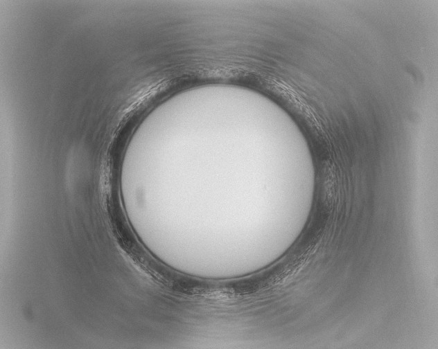 X0000116390683200912231110