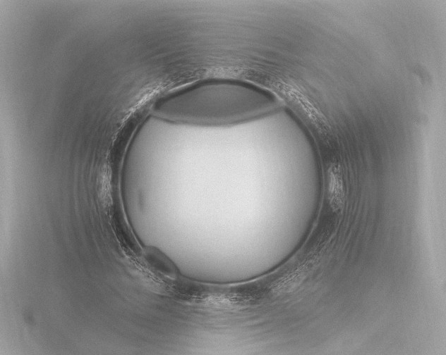 X0000116390684200912231110