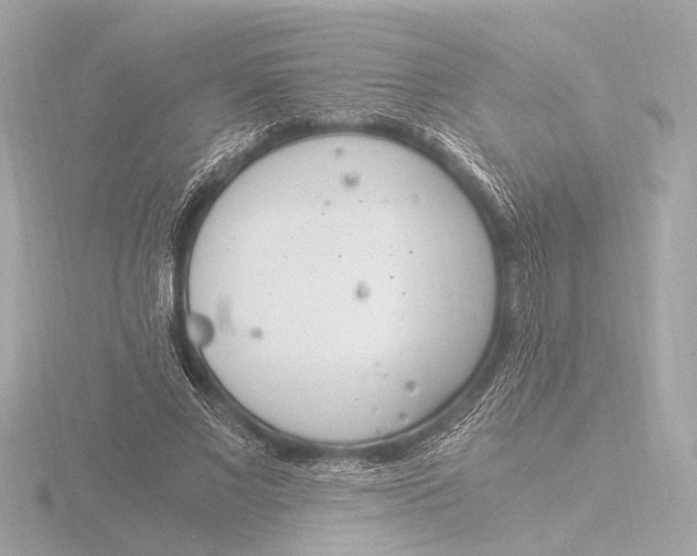 X0000116390685200912231110