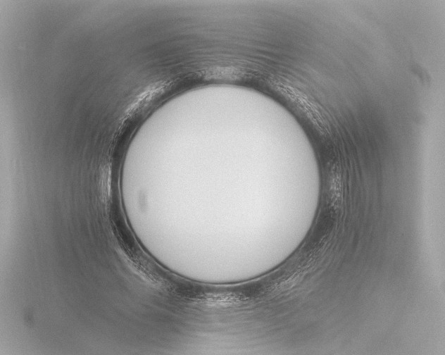 X0000116390686200912231110