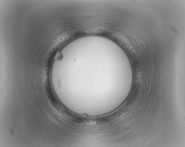 X0000116390687200912231110