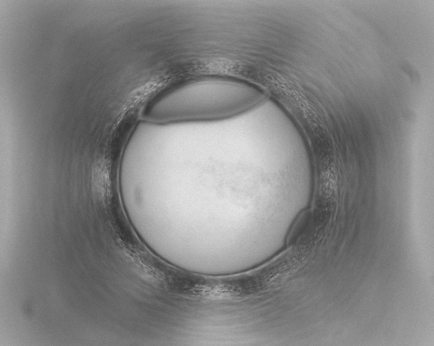 X0000116390688200912231110