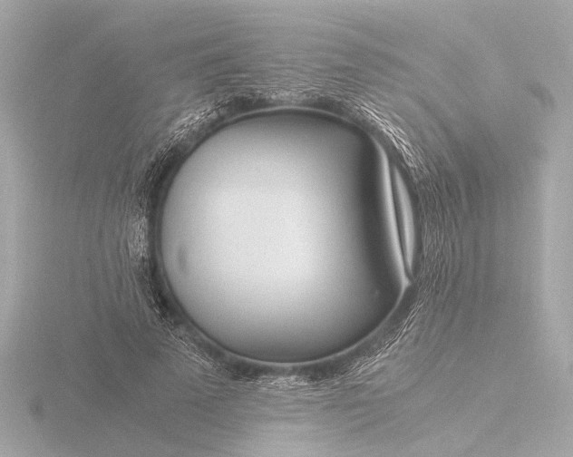 X0000116390689200912231110