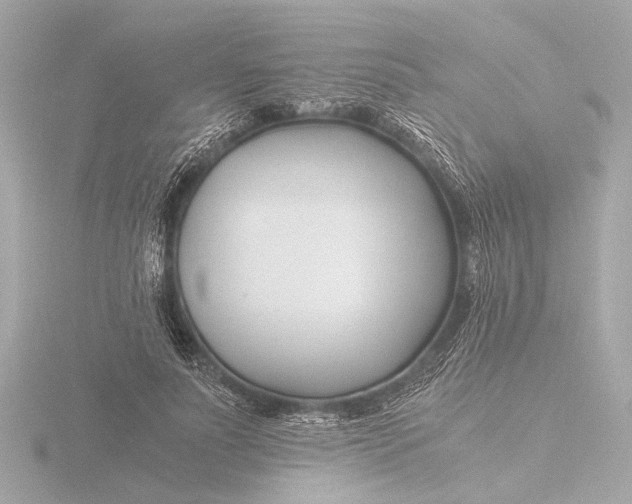 X0000116390691200912231109