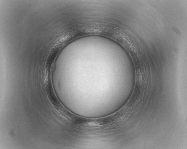 X0000116390692200912231109