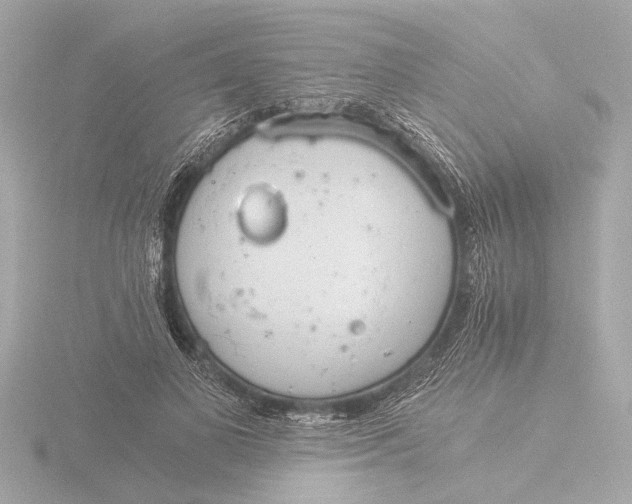 X0000116390693200912231109