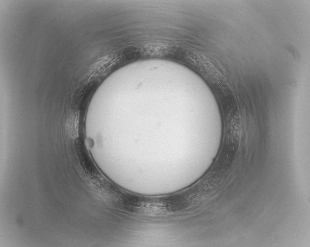 X0000116390694200912231109