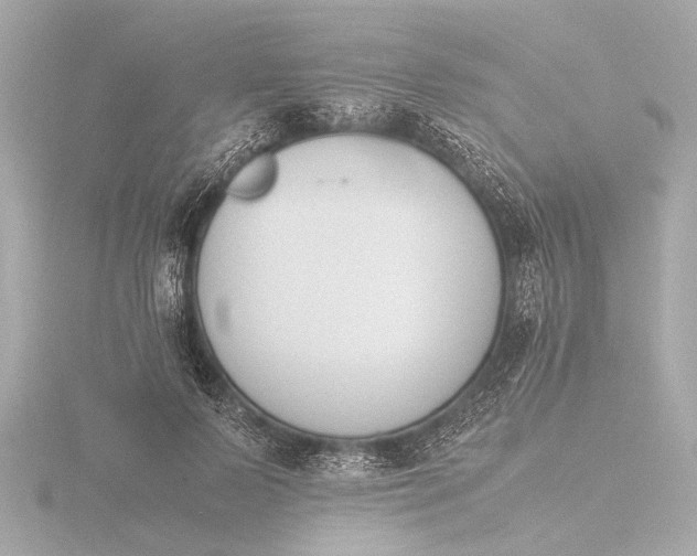 X0000116390695200912231109