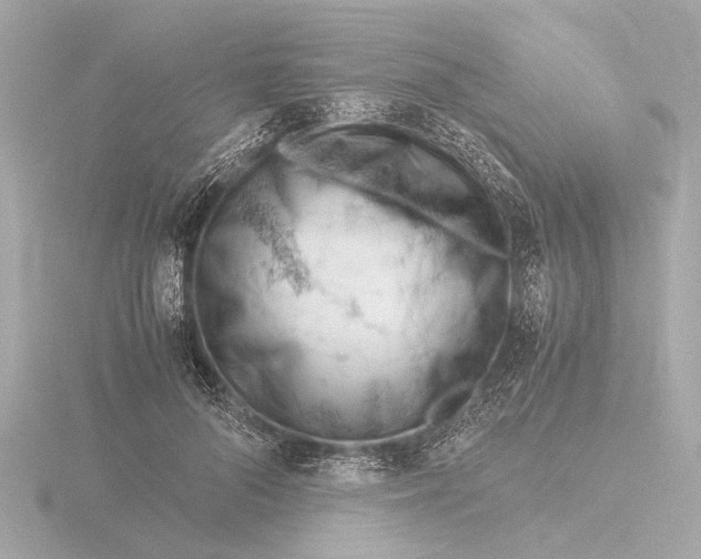 X0000116390696200912231109