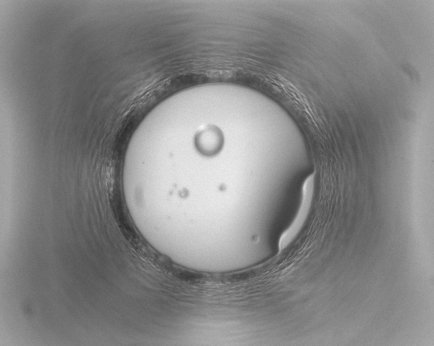 X0000116390697200912231109