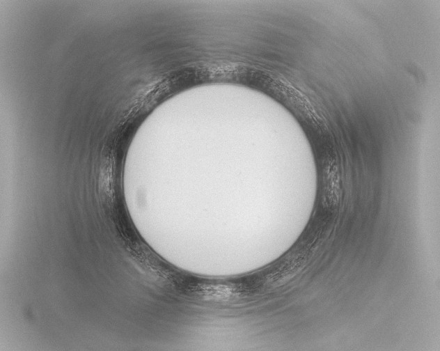 X0000116390698200912231109