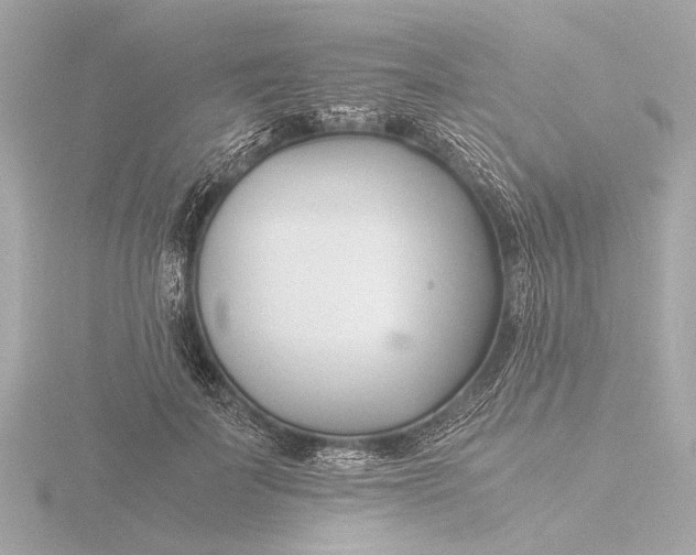 X0000116390699200912231109