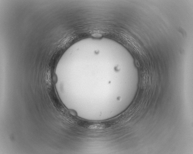 X0000116390700200912231109