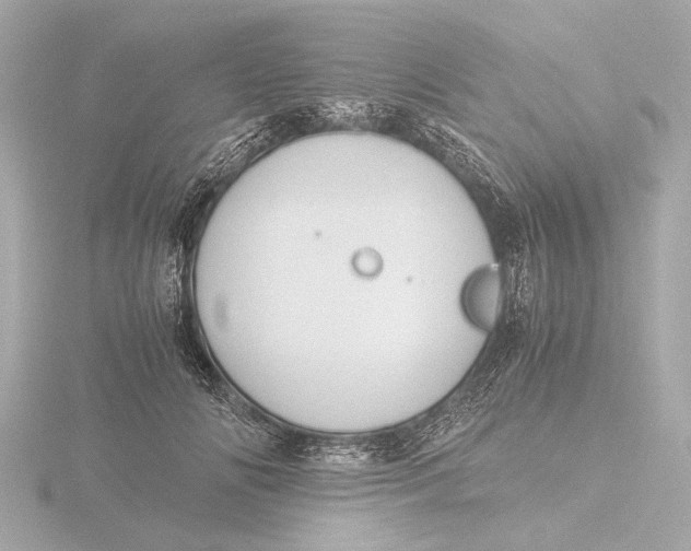 X0000116390702200912231109