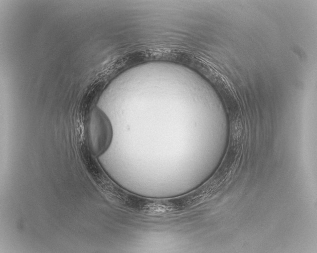 X0000116390703200912231109