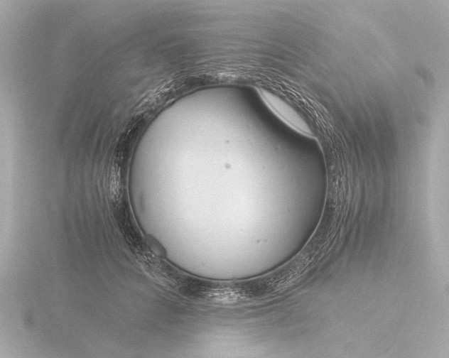 X0000116390704200912231109