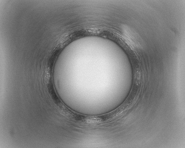 X0000116390707200912231109