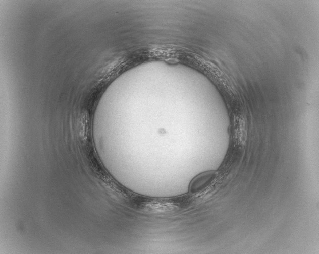 X0000116390712200912231109