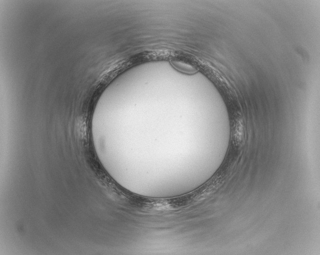 X0000116390715200912231109