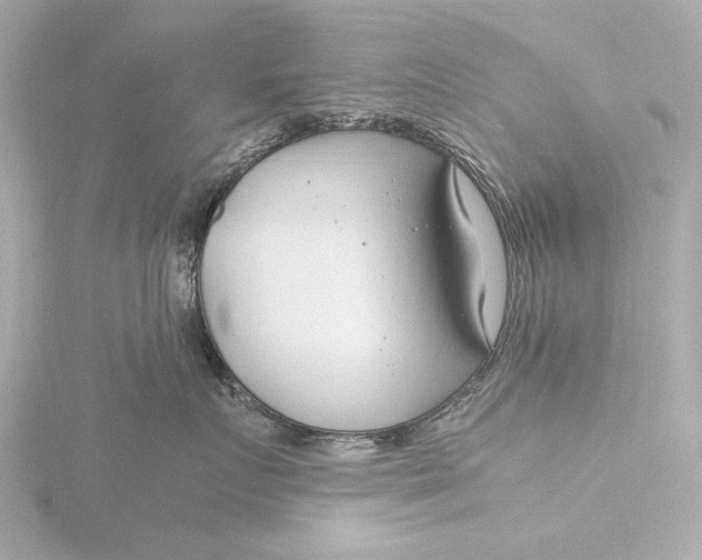 X0000116390719200912231109