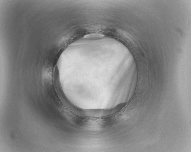 X0000116390720200912231109