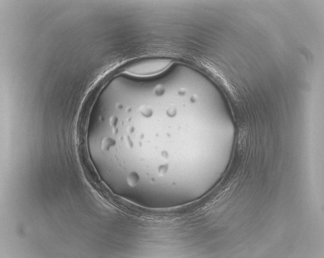 X0000116390722200912231109