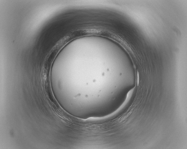 X0000116390723200912231109