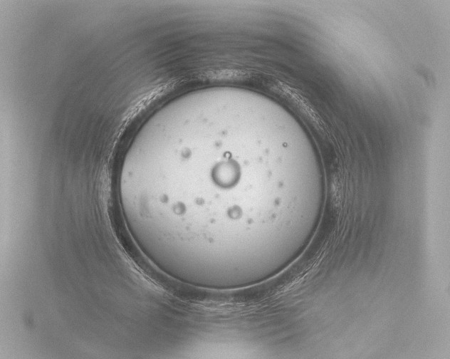 X0000116390725200912231109